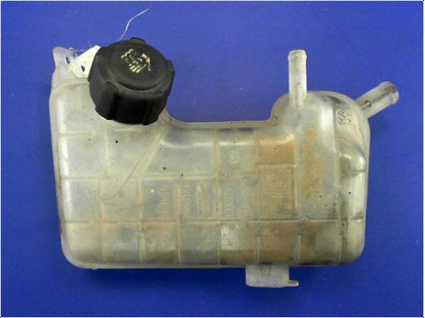 VASE EXPANSION RENAULT GRAND SCENIC II PH2 06-09