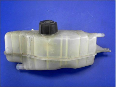 VASE EXPANSION RENAULT CLIO III PH.1 07-09