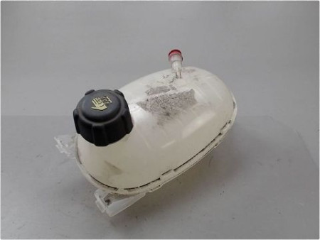 VASE EXPANSION DACIA DUSTER