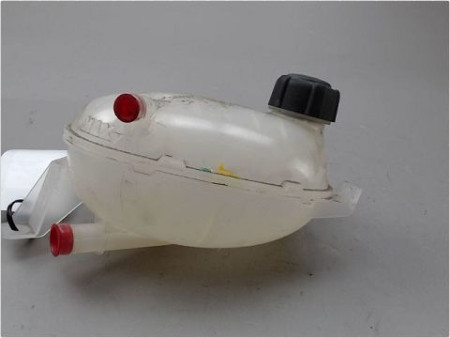 VASE EXPANSION DACIA DUSTER