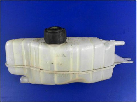 VASE EXPANSION RENAULT CLIO III PH.2 09-14