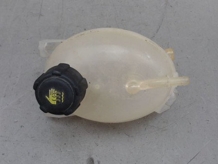 VASE EXPANSION RENAULT CLIO