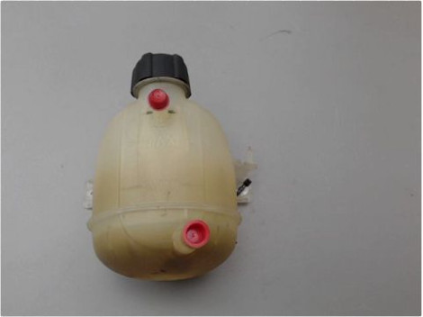 VASE EXPANSION RENAULT CLIO