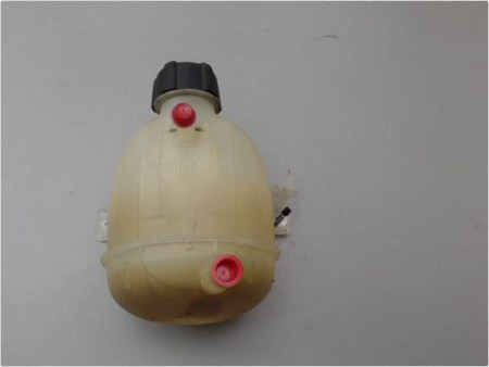 VASE EXPANSION RENAULT CLIO