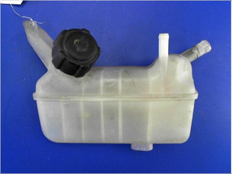 VASE EXPANSION RENAULT MEGANE II PH1 02-05