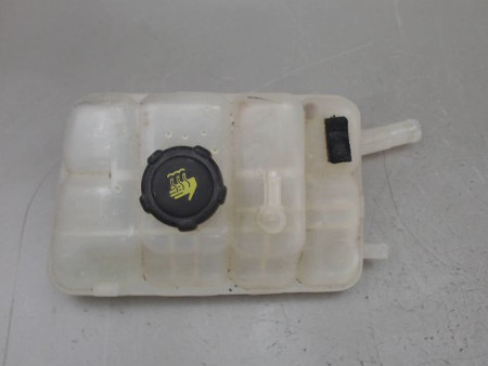 VASE EXPANSION RENAULT MEGANE
