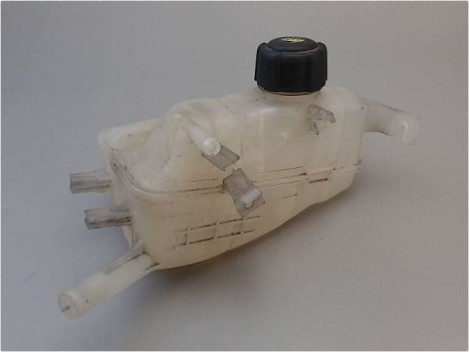 VASE EXPANSION RENAULT MEGANE