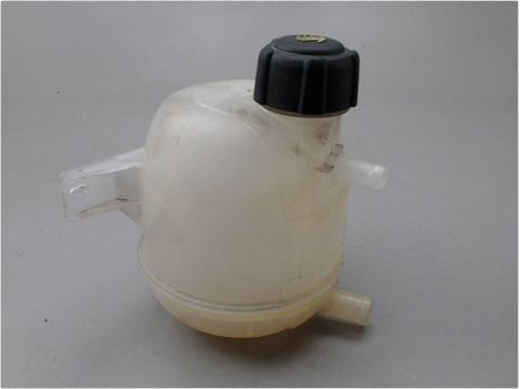 VASE EXPANSION DACIA DUSTER