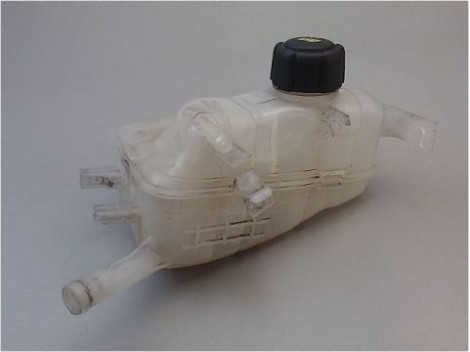 VASE EXPANSION RENAULT MEGANE