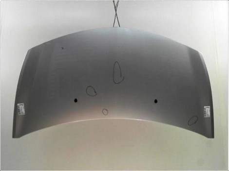 CAPOT RENAULT CLIO III PH.1 ESTATE 2008-2009