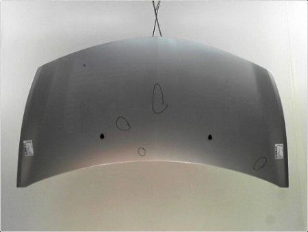 CAPOT RENAULT CLIO III PH.1 ESTATE 2008-2009