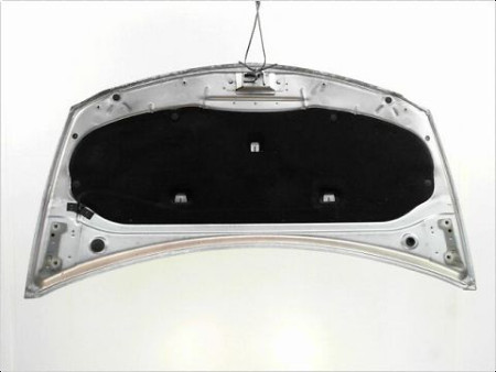 CAPOT RENAULT CLIO III PH.1 ESTATE 2008-2009