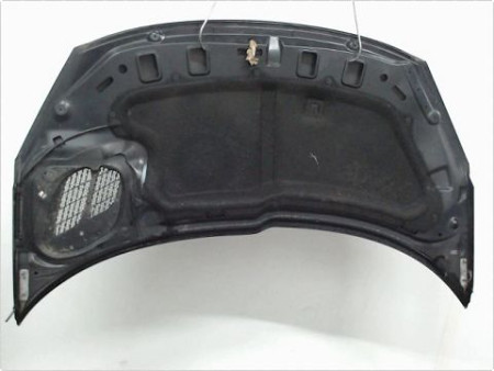 CAPOT PEUGEOT 206+ 09-13