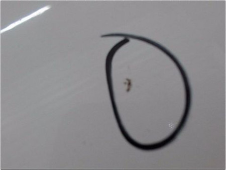 CAPOT PEUGEOT 206+ 09-13