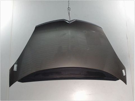CAPOT CITROEN C4