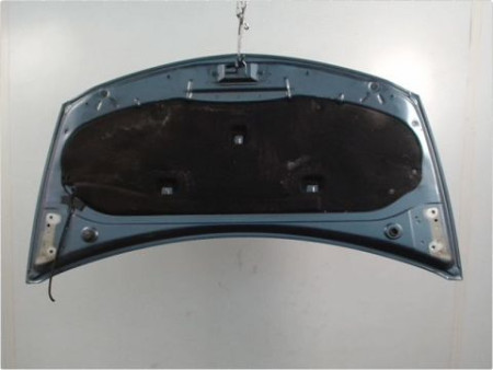 CAPOT RENAULT CLIO