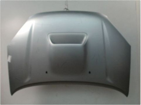 CAPOT TOYOTA RAV4
