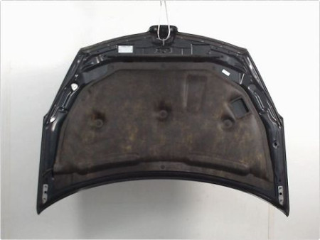CAPOT PEUGEOT 4007