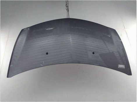 CAPOT RENAULT CLIO