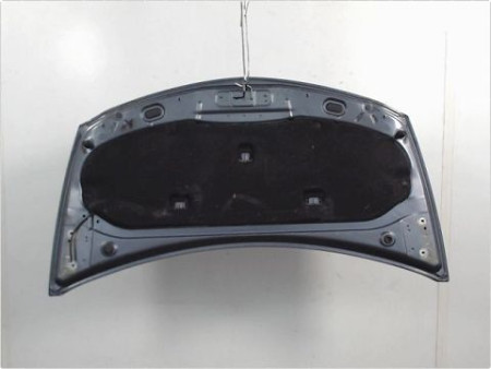 CAPOT RENAULT CLIO