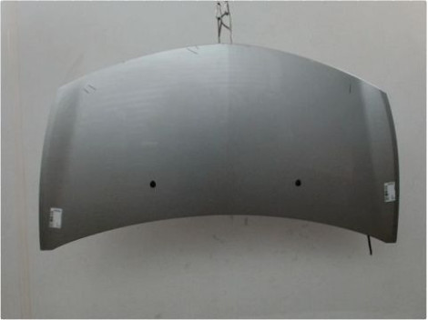 CAPOT RENAULT CLIO