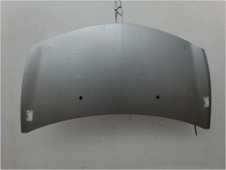 CAPOT RENAULT CLIO