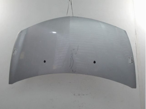 CAPOT RENAULT CLIO