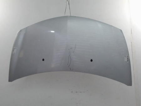 CAPOT RENAULT CLIO
