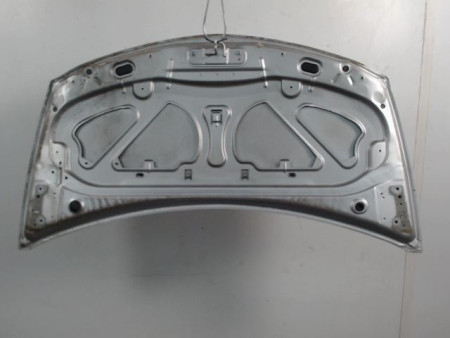 CAPOT RENAULT CLIO