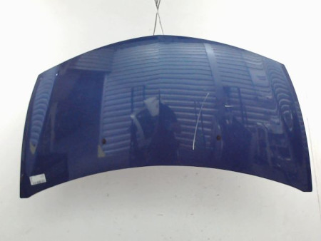 CAPOT RENAULT CLIO
