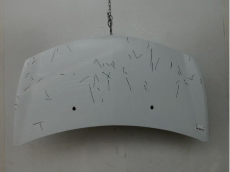 CAPOT RENAULT CLIO