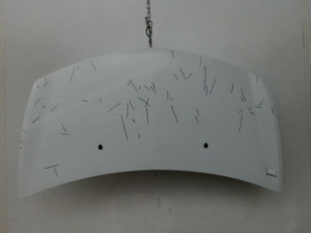 CAPOT RENAULT CLIO