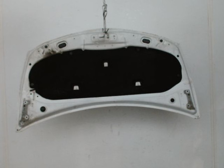 CAPOT RENAULT CLIO