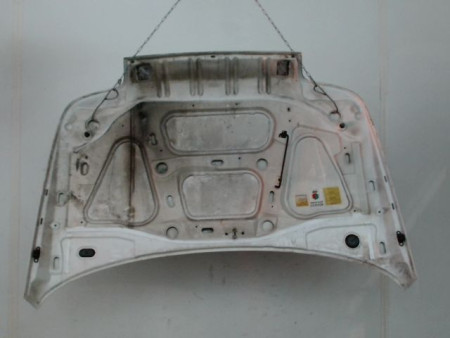 CAPOT RENAULT CLIO