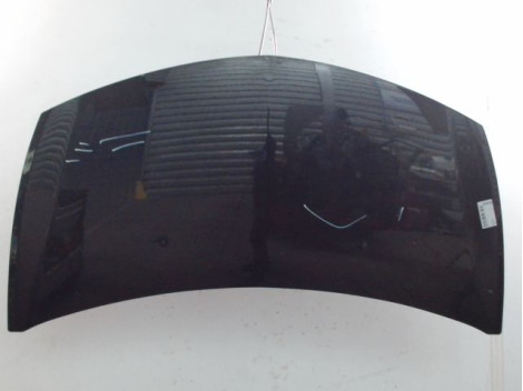 CAPOT RENAULT CLIO