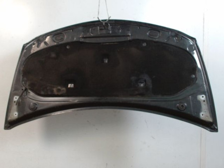 CAPOT RENAULT CLIO