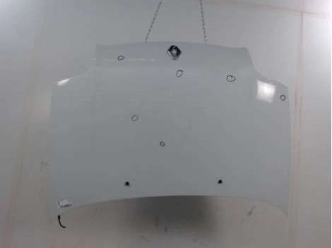 CAPOT RENAULT CLIO