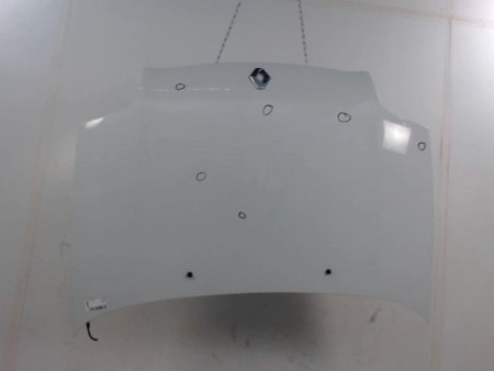 CAPOT RENAULT CLIO
