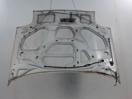 CAPOT RENAULT CLIO