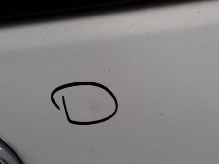 HAYON FIAT 500
