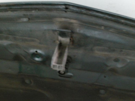 CAPOT RENAULT VEL SATIS