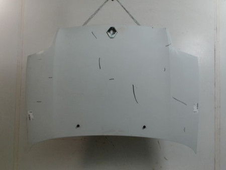 CAPOT RENAULT CLIO