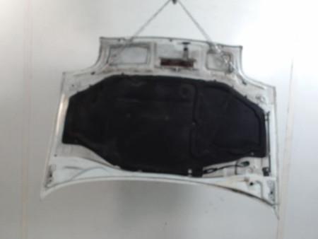 CAPOT RENAULT CLIO