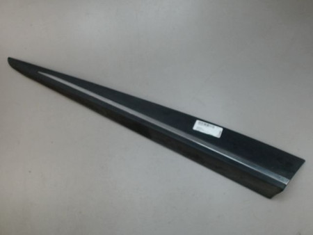 PROTECTION PORTE AVANT GAUCHE RENAULT CLIO