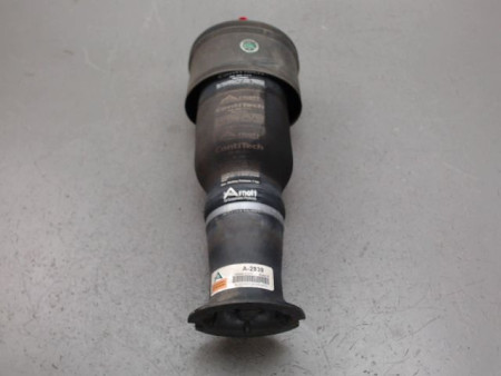 VERIN SUSPENSION ARRIERE GAUCHE CITROEN C4