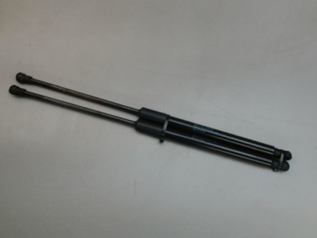 JEU VERINS HAYON CITROEN C3