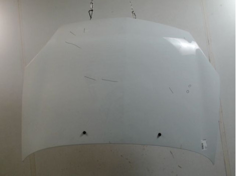 CAPOT RENAULT CLIO