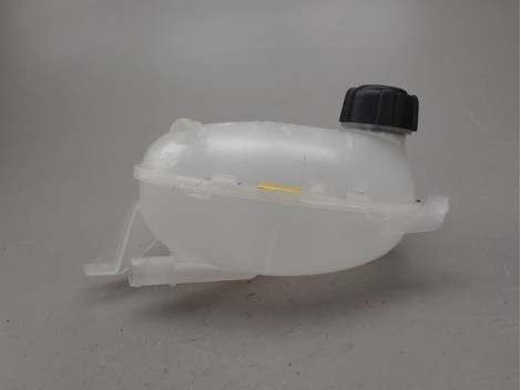 VASE EXPANSION DACIA DUSTER