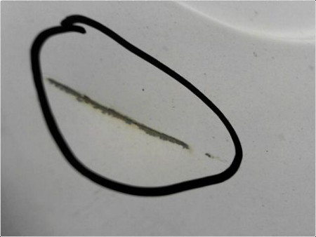 PORTE BATTANTE ARRIERE DROIT NISSAN KUBISTAR PRO 03-09