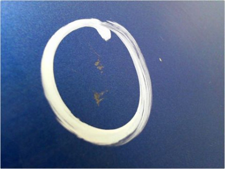 PORTE ARRIERE GAUCHE RENAULT CLIO III PH.1 05-09